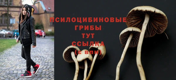круглые Богородицк
