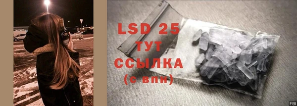 прущий лед Богданович