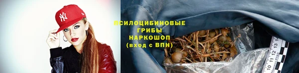 прущий лед Богданович