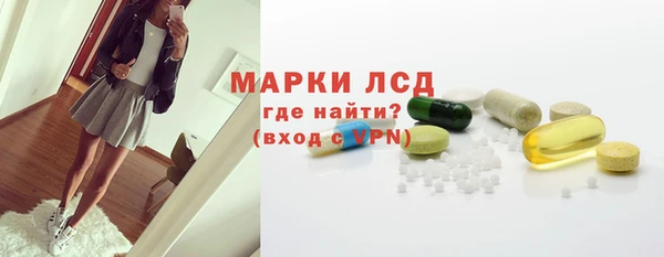 прущий лед Богданович