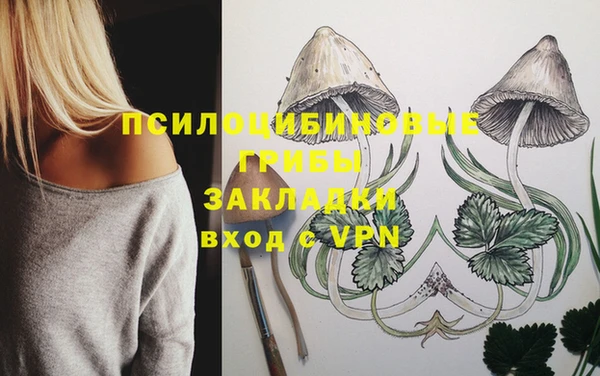 дмт Беломорск