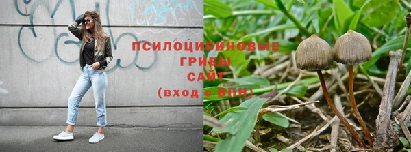 сатива Белокуриха