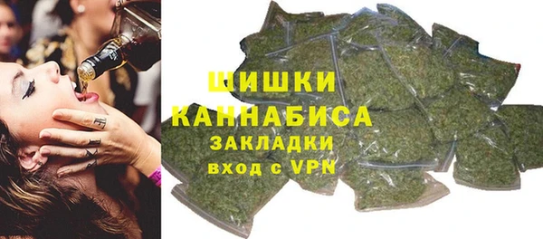 сатива Белокуриха