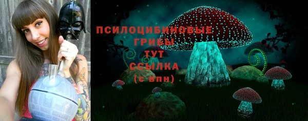 прущий лед Богданович