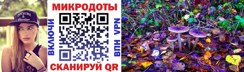 Галлюциногенные грибы мухоморы  даркнет как зайти  кракен tor  Гатчина  цена  