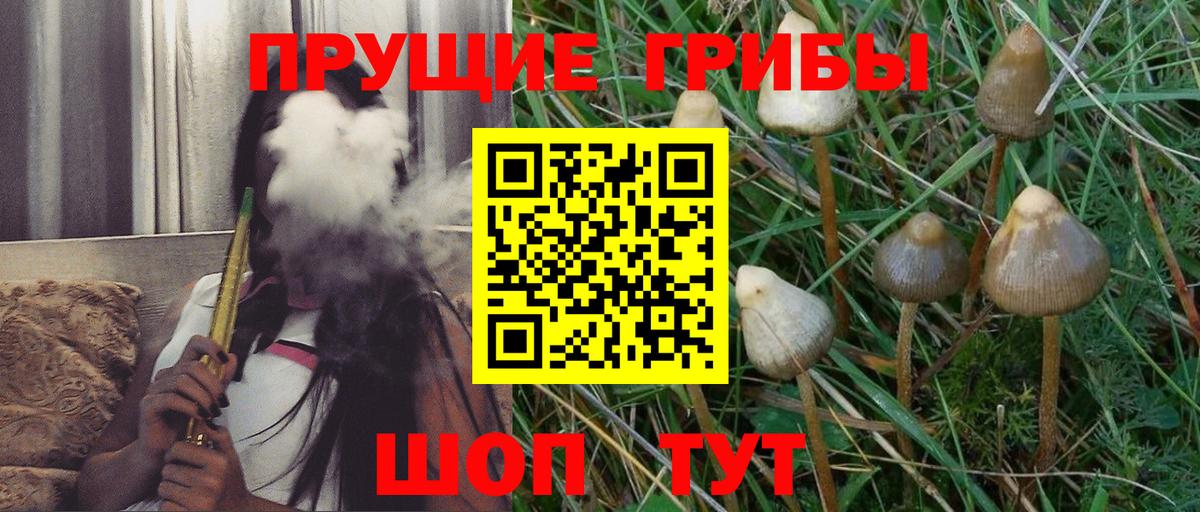 Гатчина  Галлюциногенные грибы Psilocybine cubensis  Вход с VPN  Галлюциногенные грибы MAGIC MUSHROOMS 