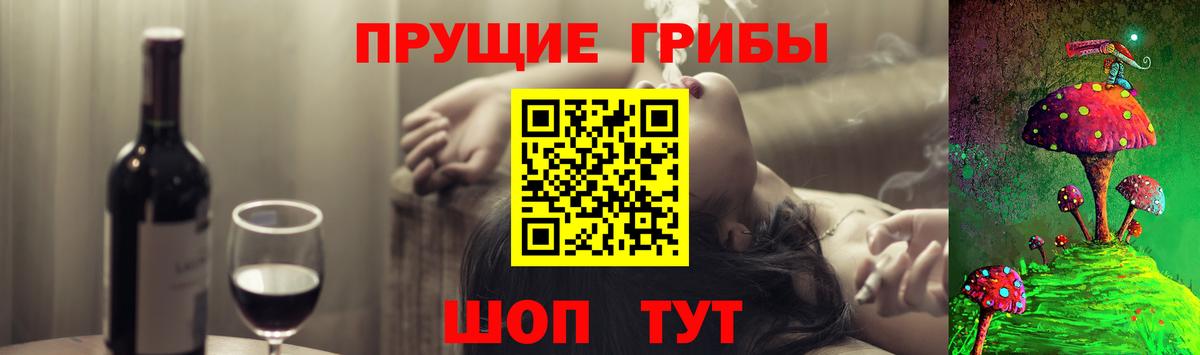 Псилоцибиновые грибы мухоморы Гатчина