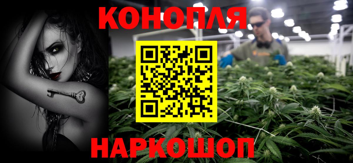 Бошки Шишки сатива Гатчина